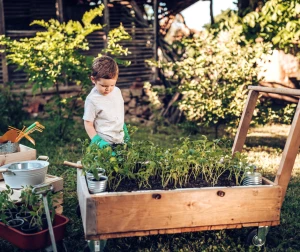 chłopczyk zajmujący się grządką