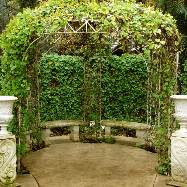 Altana podpora dla roślin